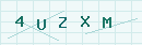 CAPTCHA Security Code
